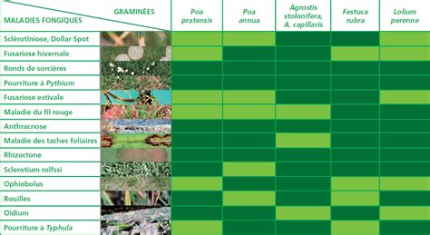 Tableau récapitulatif des maladies fongiques du gazon