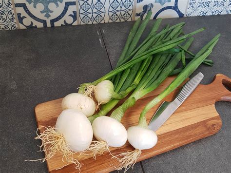 Des oignons frais avec leurs tiges vertes