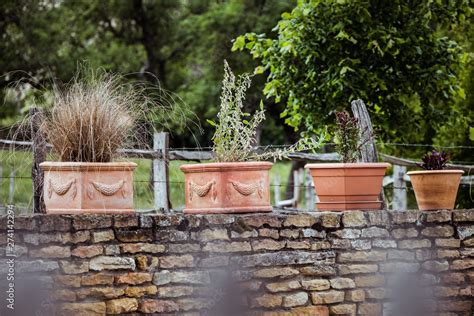 Jardinières colorées sur un mur en pierre