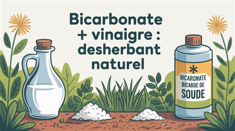 Ingrédients naturels pour désherber : bicarbonate et vinaigre
