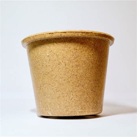 pot à sauce biodégradable compostable PLA
