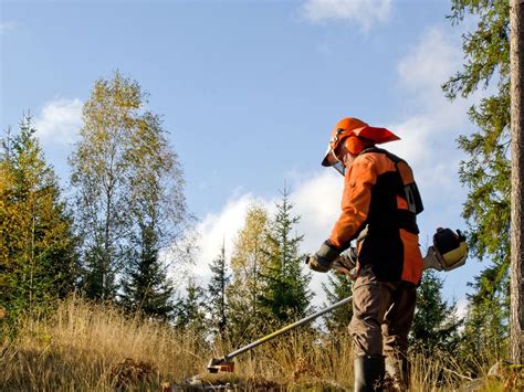 Agent d'entretien des espaces naturels travaillant dans un parc