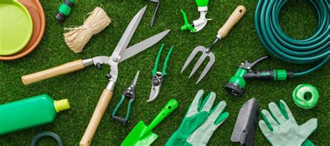 Outils de jardinage variés utilisés par un paysagiste