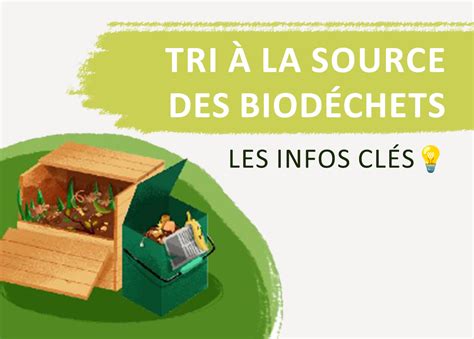 Comparaison entre tri à la source réel et tri optique des sacs colorés