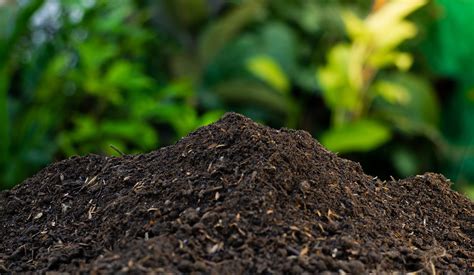 Différents types de terreaux enrichis pour un meilleur drainage