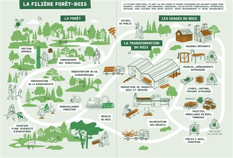infographie sur les objectifs du Plan de Relance pour la filière bois