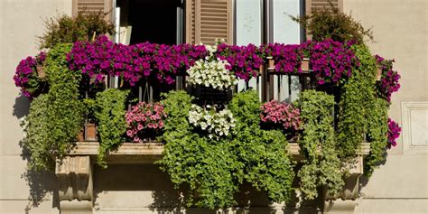 Image d'une jardinière en bois sur un balcon fleuri