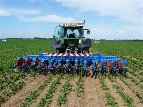 Tracteur avec bineuse en action dans un champ de maïs