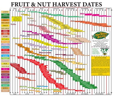 Chart showing the harvest seasons for different hazelnut varieties