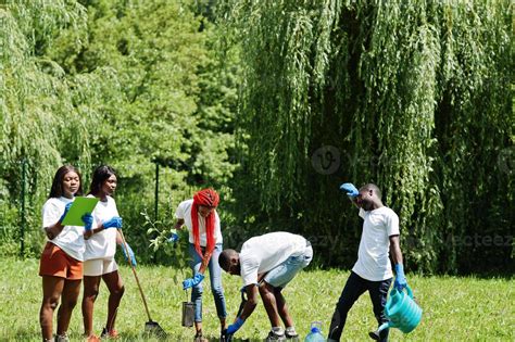 Femmes plantant des arbres dans le cadre du Green Belt Movement