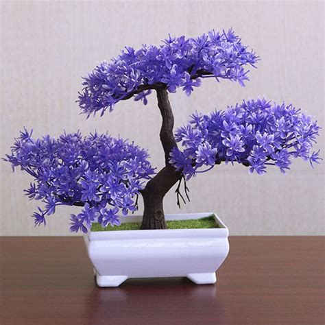 Bonsaï à fleurs violettes