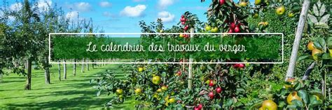 Calendrier des opérations au verger