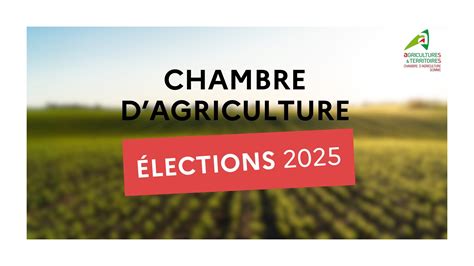Journée d'élection à la Chambre d'agriculture