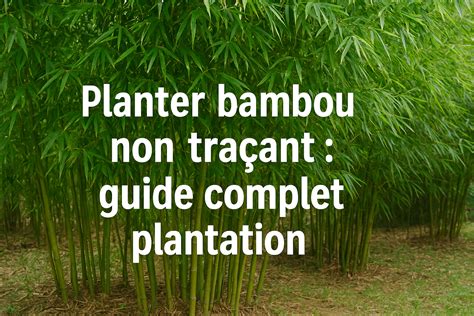 Image d'un artisan courbant du bambou avec un chalumeau