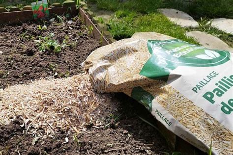 Schéma de l'importance du paillage dans un jardin