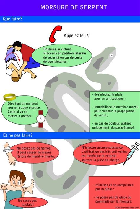 Premiers secours en cas de morsure de serpent