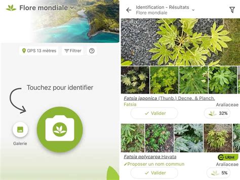 Schéma des fonctionnalités d'une application de reconnaissance de plantes