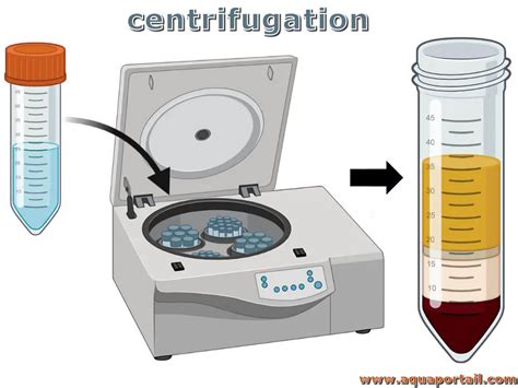 Infographie illustrant les étapes de la centrifugation de la semence