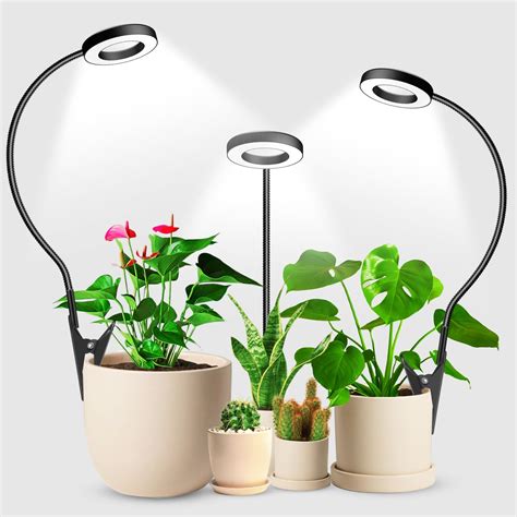 lampes de croissance pour plantes