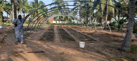 Gora N'Diaye dans sa ferme permacole au Sénégal