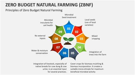 Infographie illustrant les principes du Zero Budget Natural Farming (ZBNF)