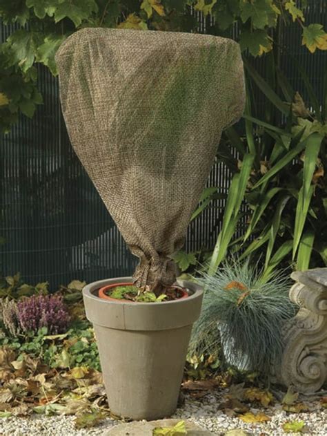 Housse d'hivernage en jute Gifi sur une plante