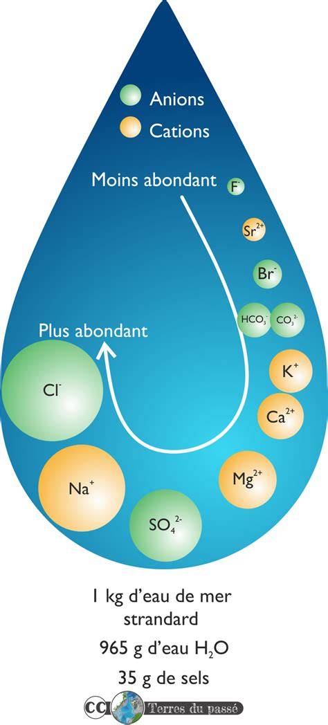 Schéma comparatif de la composition de l'eau de pluie et de l'eau du robinet