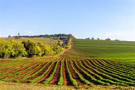 Infographie sur la répartition des terres agricoles au Brésil