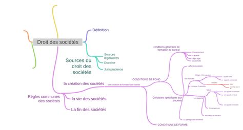 Schéma illustrant la relation entre le droit des sociétés et la liberté contractuelle