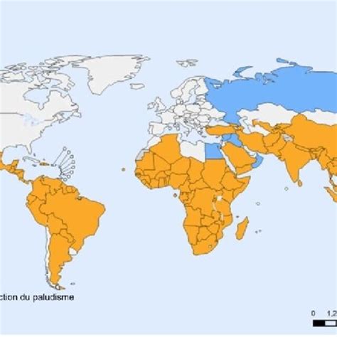Carte de répartition géographique des Cordylines