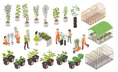 Illustration d'une pépinière horticole moderne