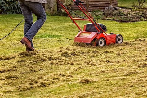 Scarificateur Wolf LW 93 en action sur une pelouse