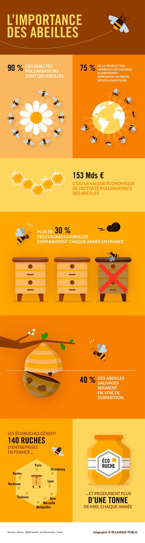 Infographie sur l'importance des abeilles