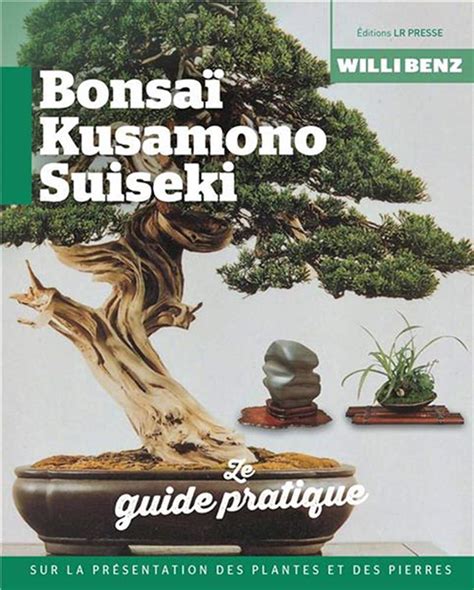 schéma explicatif d'une composition traditionnelle avec bonsaï, suiseki et shitakusa