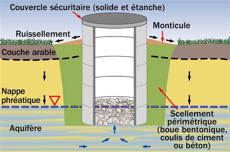 Schéma illustrant la superposition de gravier, bulbe et eau dans un vase de forçage
