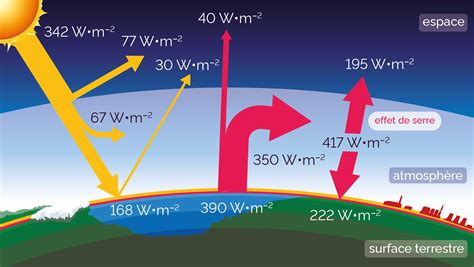 Diagramme comparatif montrant les étapes du forçage des bulbes : phase sombre au frais puis phase lumineuse