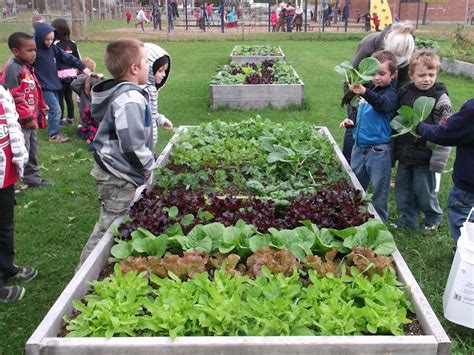 Enfants récoltant des légumes dans un jardin scolaire pédagogique