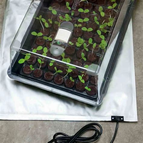 Schéma d'une mini-serre de germination avec nappe chauffante