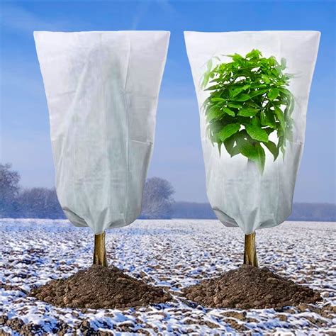 Protection des plantes avec voile d'hivernage