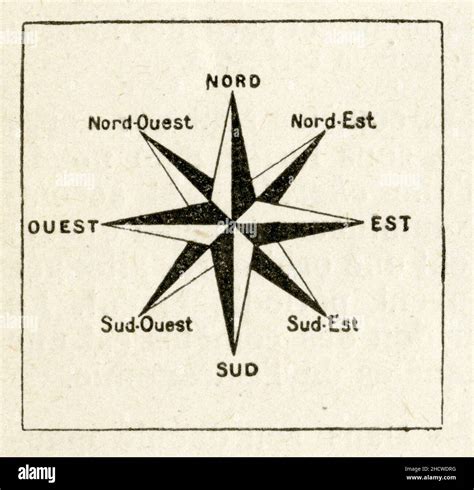 Schéma illustrant les différentes expositions lumineuses d'une fenêtre (nord, sud, est, ouest) et leur impact sur la croissance du bonsaï