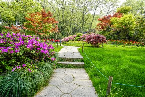 Paysage verdoyant d'un jardin en Ille-et-Vilaine