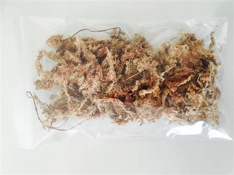 Sphaigne séchée et brins individuels