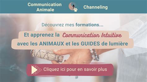Schéma illustrant la communication avec les animaux