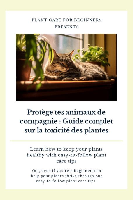 Infographie comparant la toxicité de différentes plantes pour les animaux de compagnie