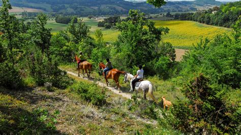 Activités équestres dans le Tarn