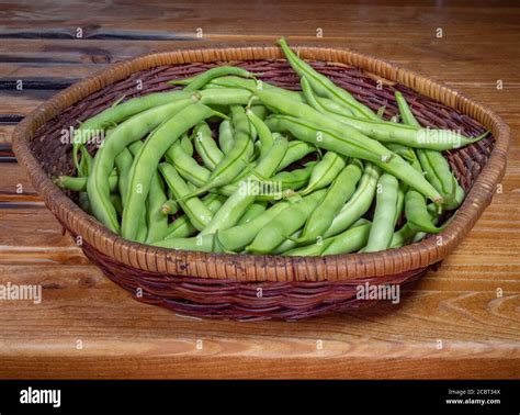 Panier de haricots verts fraîchement cueillis