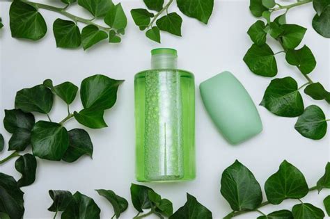 Préparation artisanale de shampoing au lierre
