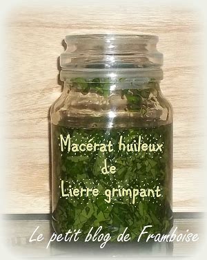 Flacon de macérat huileux de lierre fait maison