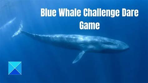 Enquête sur le Blue Whale Challenge