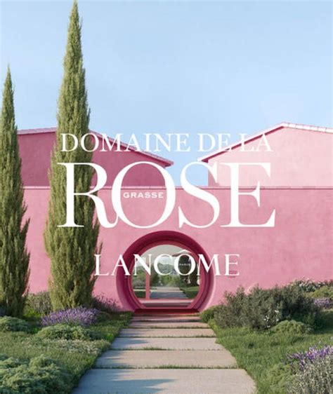Rose Centifolia cultivée au Domaine de la Rose Lancôme